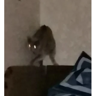 🥴