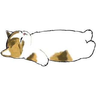 😴