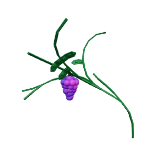 🍇