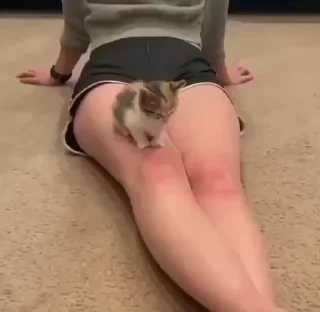 😂