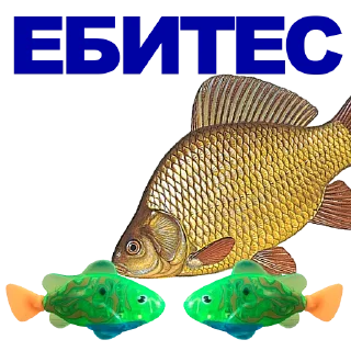 🐠