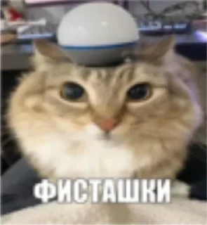 ⚡