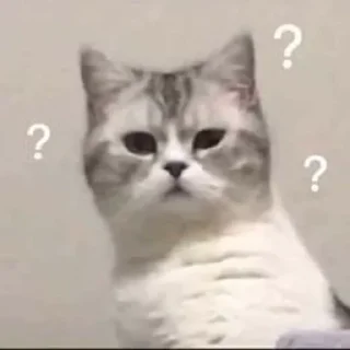🤔