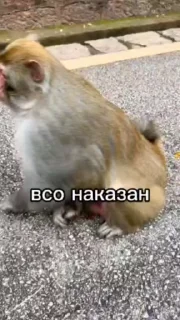 😏