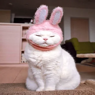 💗