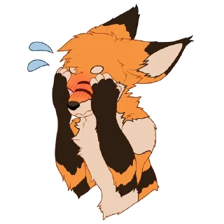 🦊