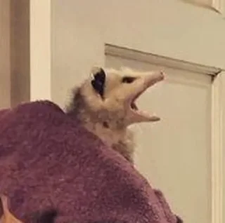 🗣
