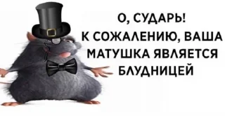 😎