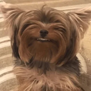 😁