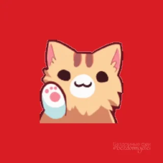 🐱