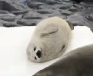 😄