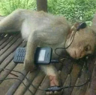 🎵