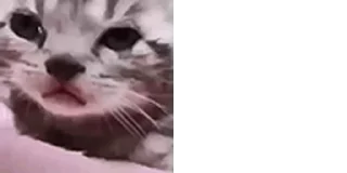😢