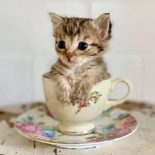 ☕️