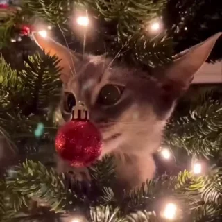 😛