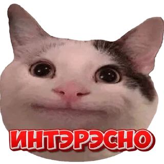 😂