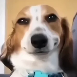 😏