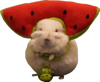 🍉