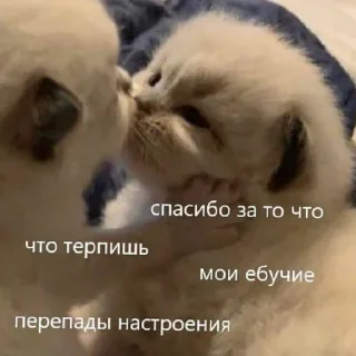💌
