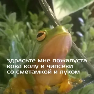 🤠
