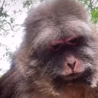 👀