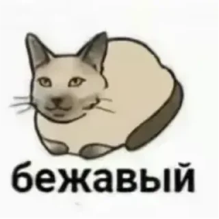 котеке