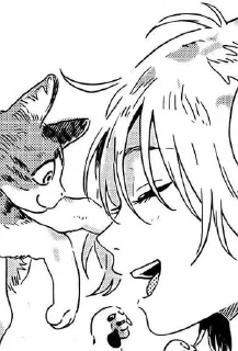 🐈‍⬛