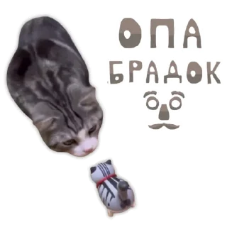 🥸