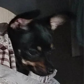😵
