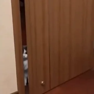 🤩