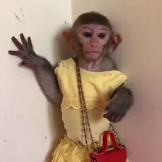 ☺️