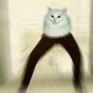 🦵
