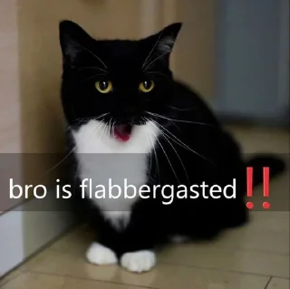 ‼️