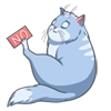 Random funny cats