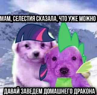 🦄