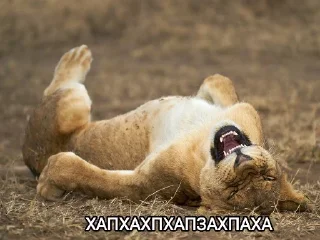 🤣
