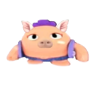 🐽