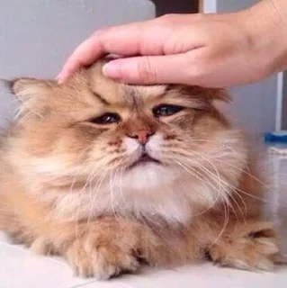 😔