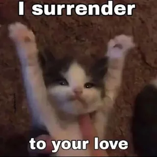 🐶