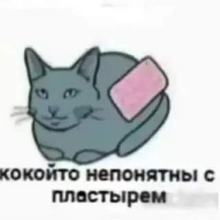 🚔