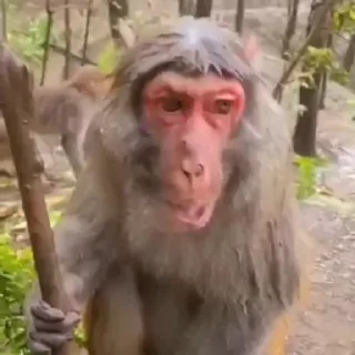 😧