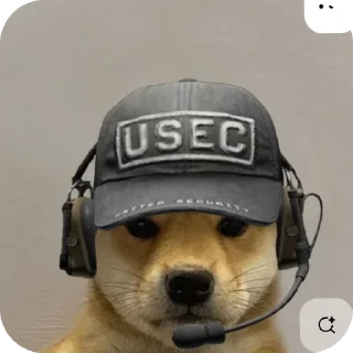 🐶