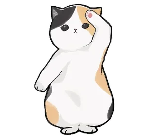 🐱