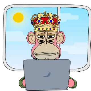 👨‍💻