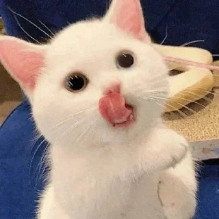 😋