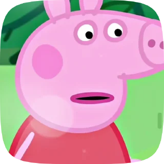 🐷