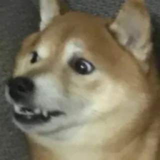 🤭