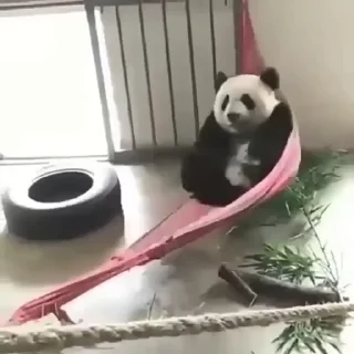 😶