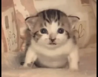 😥