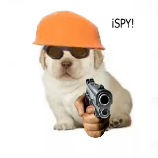 🐶